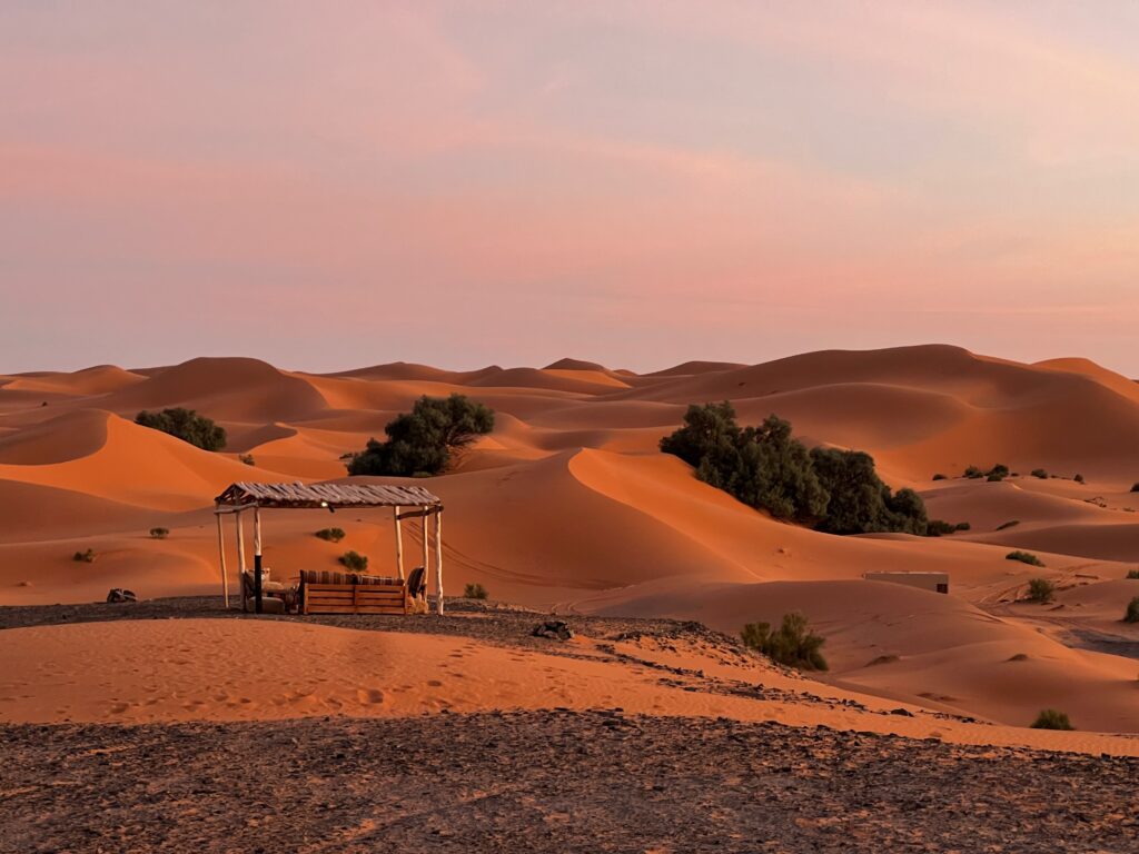 新品未開封 HOTEL SAHARA カジノデック デック2個セット Sahara Elegance Camp, Merzouga (updated prices 2026)